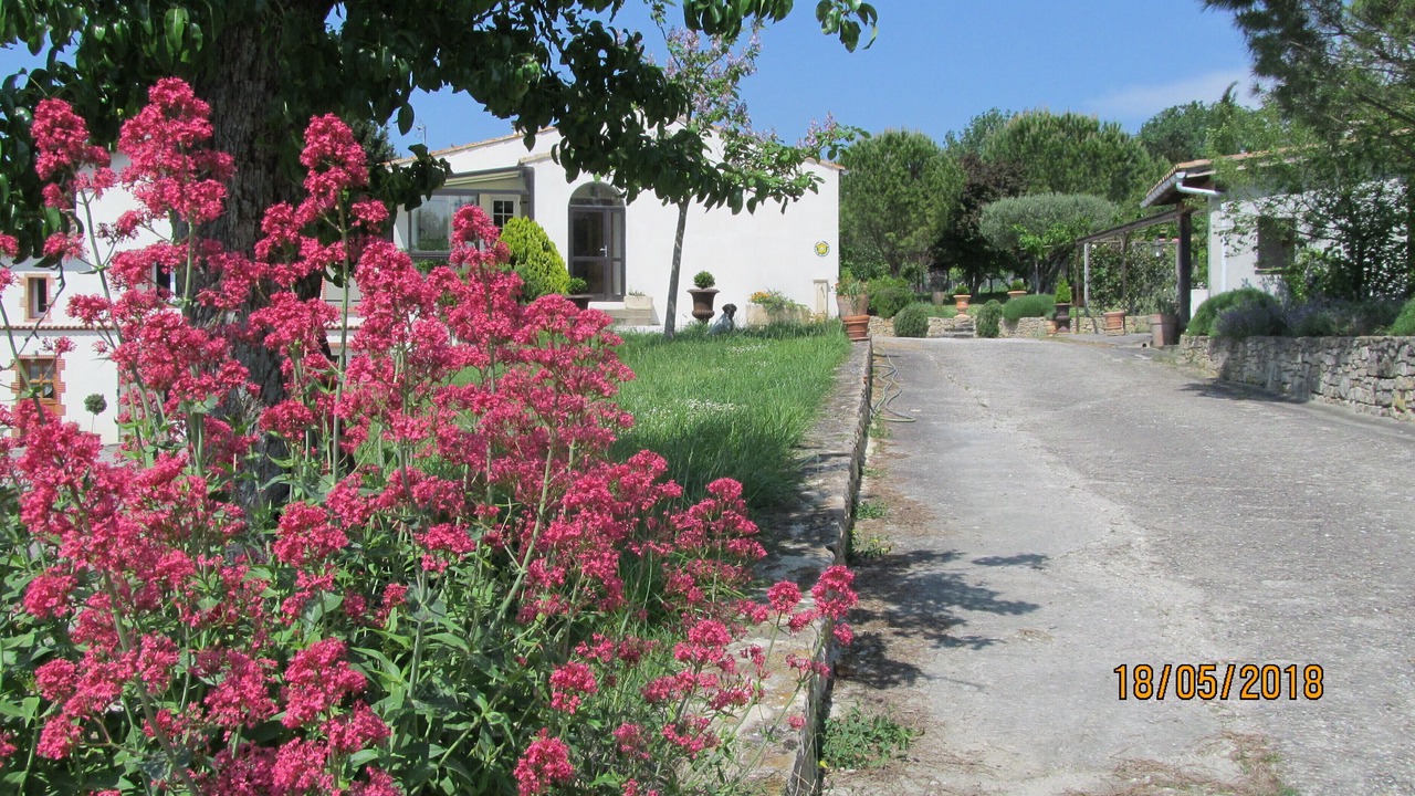 Photo of Outdoor in Saint-Martin-de-Villereglan