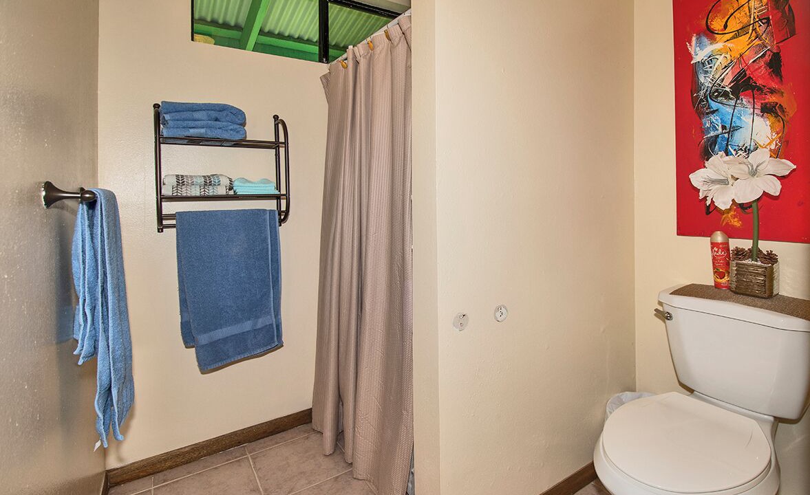 Photo of Bathroom in Kapoho