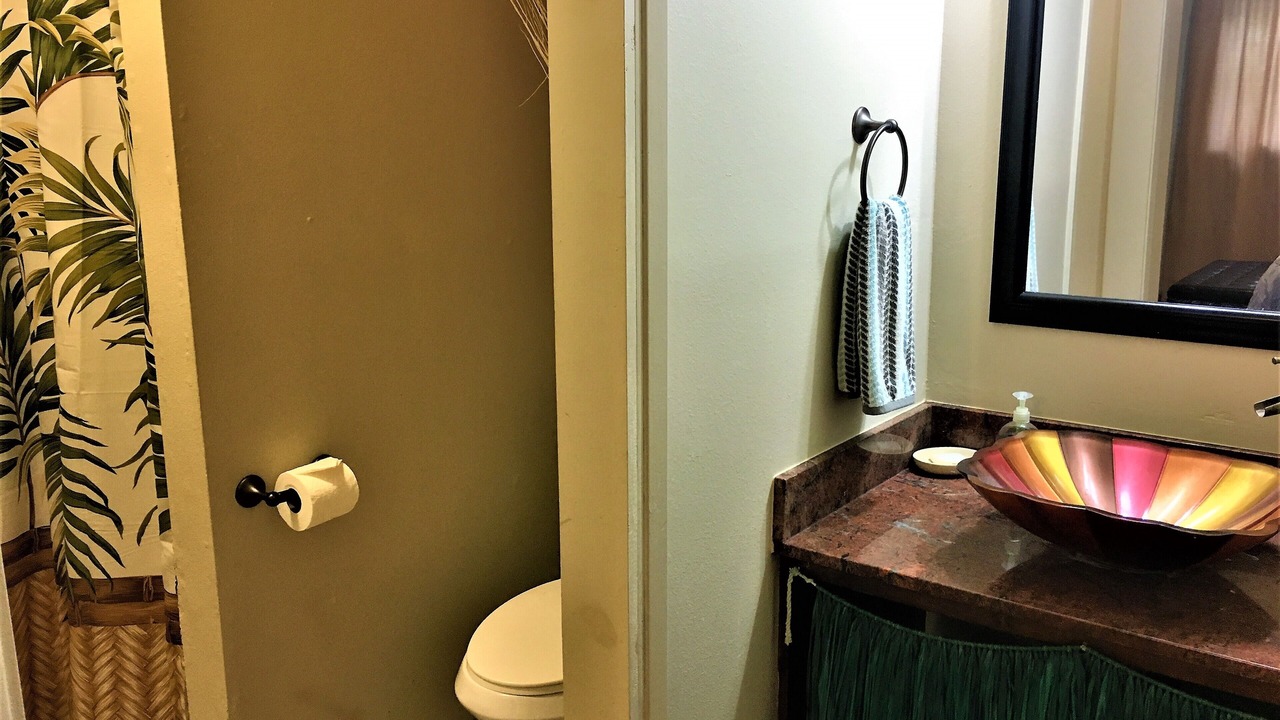 Photo of Bathroom in Kapoho