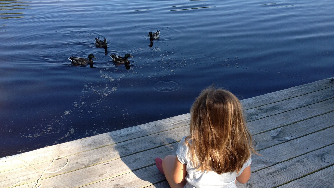Photo of Others in Pocono Lake