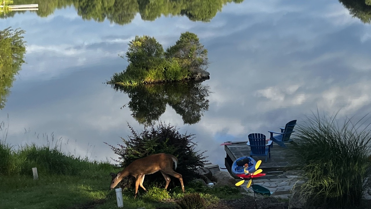 Photo of Others in Pocono Lake