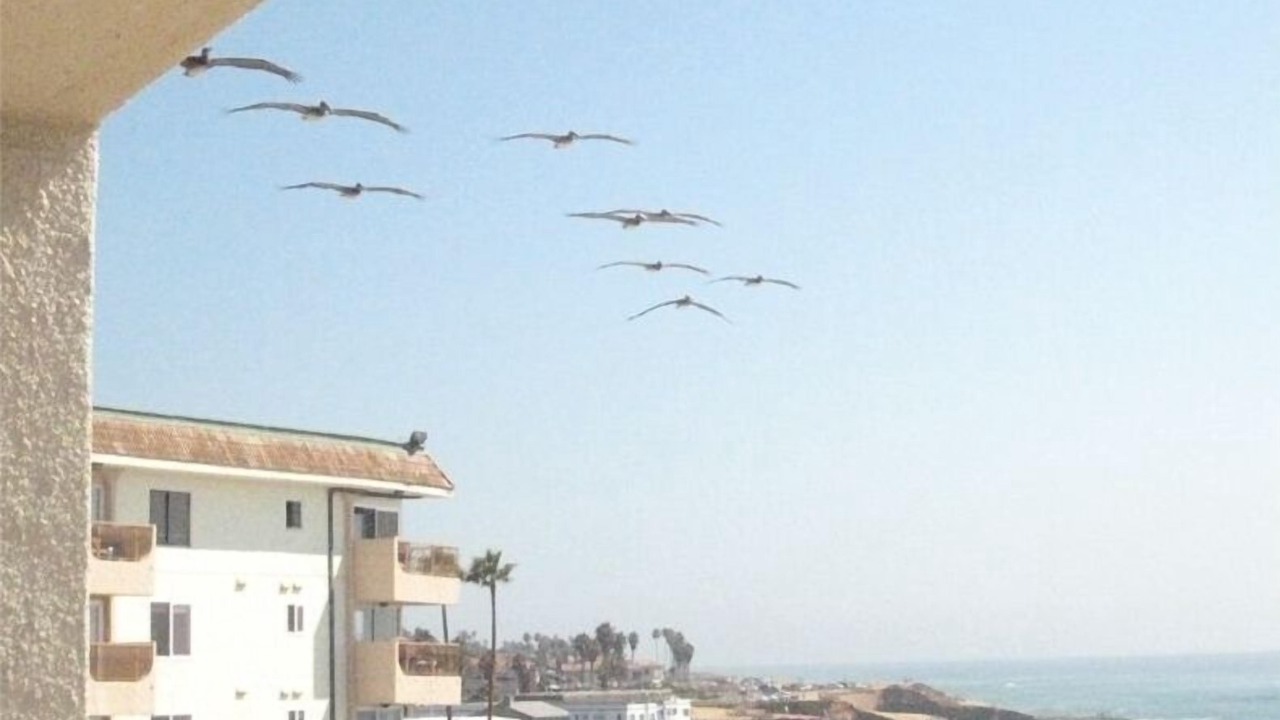 Photo of Patio Balcony in Ocean Beach