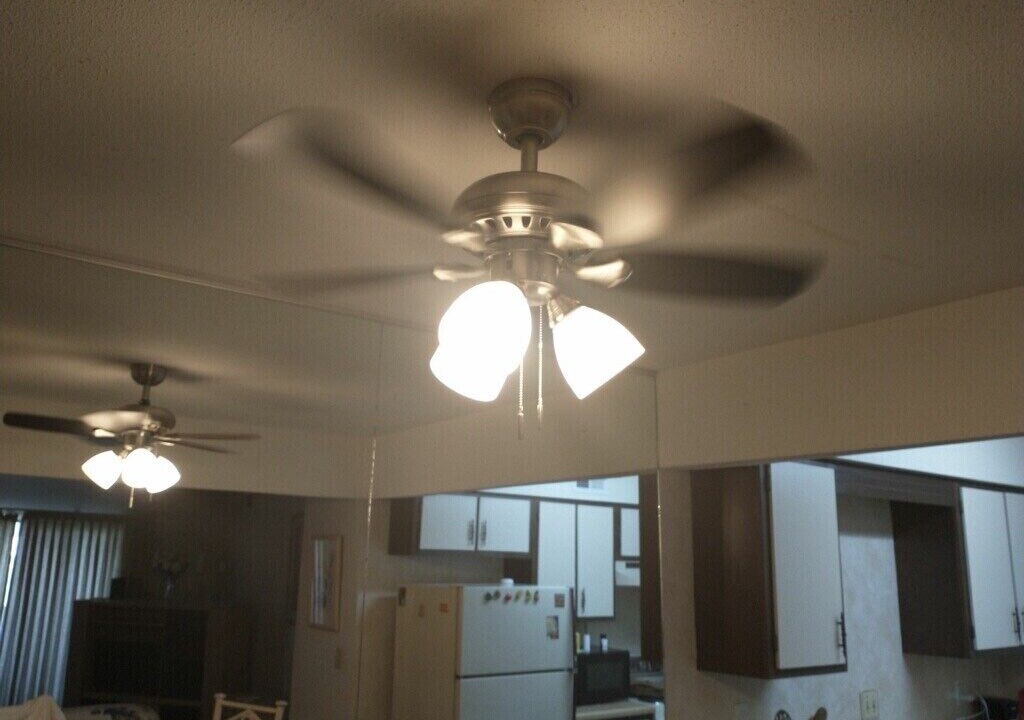 Photo of Others in Clive