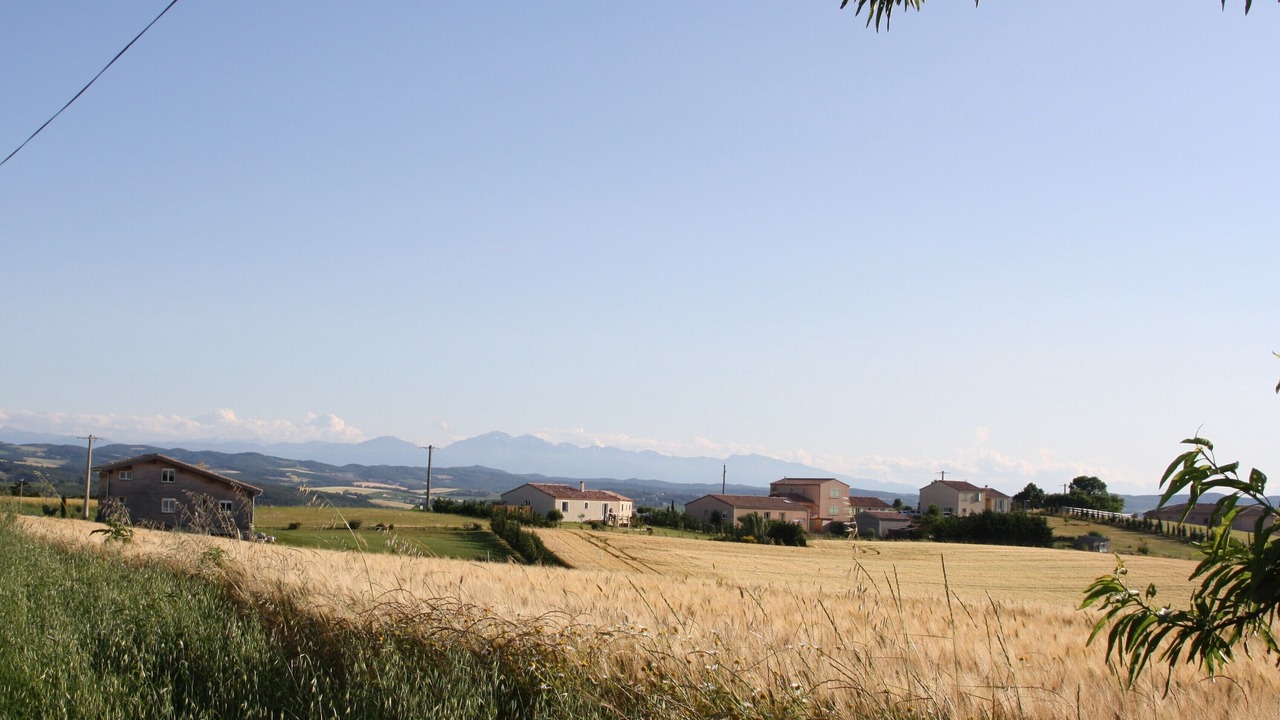 Photo of Others in Ferran