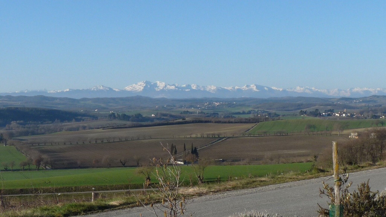 Photo of Others in Ferran