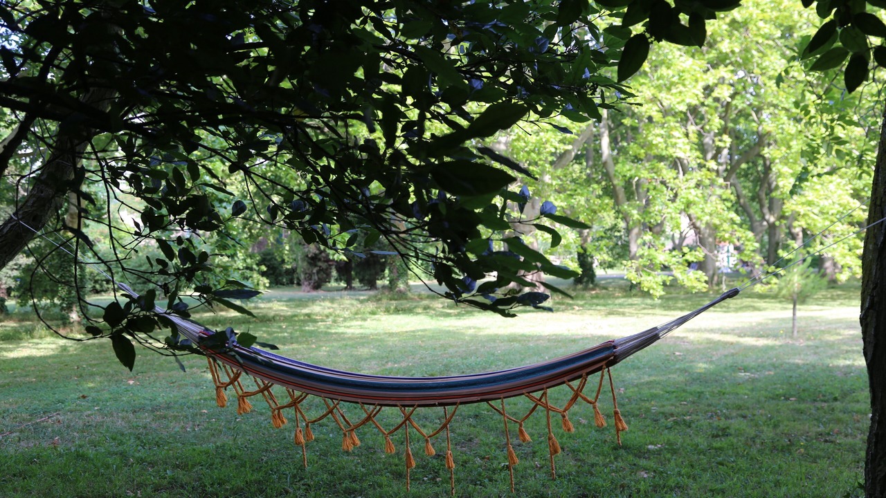 Photo of Outdoor in Montlaur