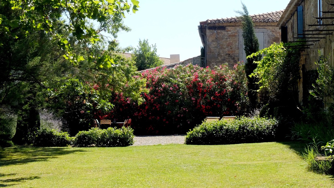 Photo of Outdoor in Montlaur