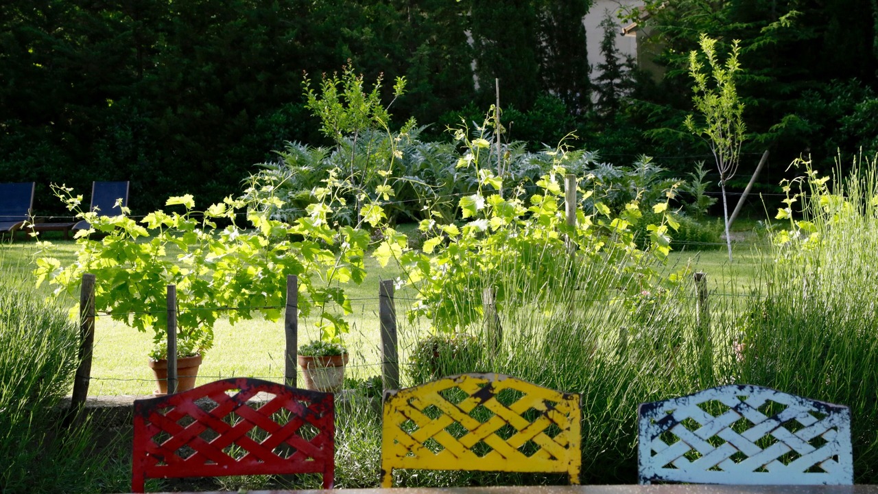 Photo of Outdoor in Montlaur