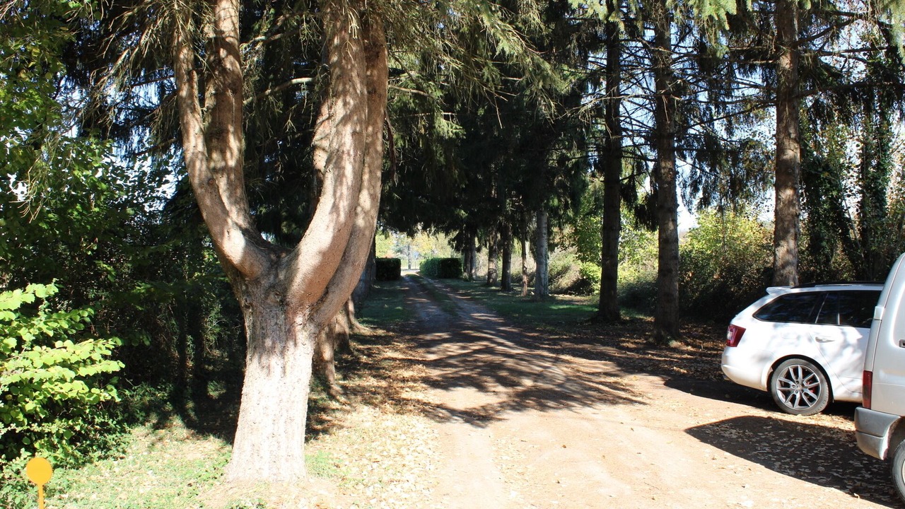Photo of Outdoor in La Membrolle-sur-Choisille