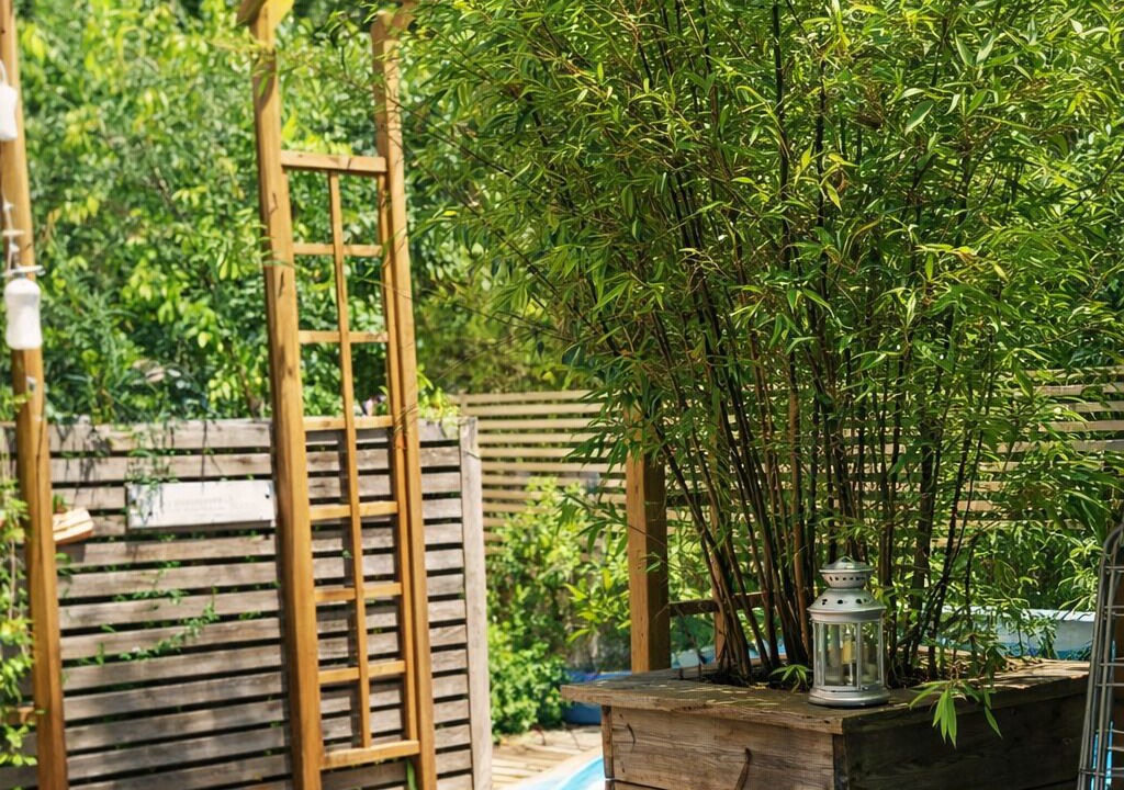 Photo of Outdoor in Lanton