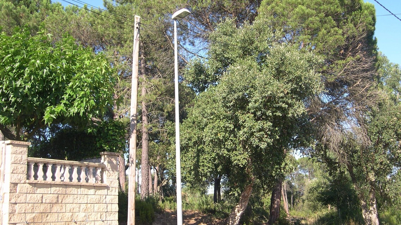 Photo of Outdoor in Santa Coloma de Farners
