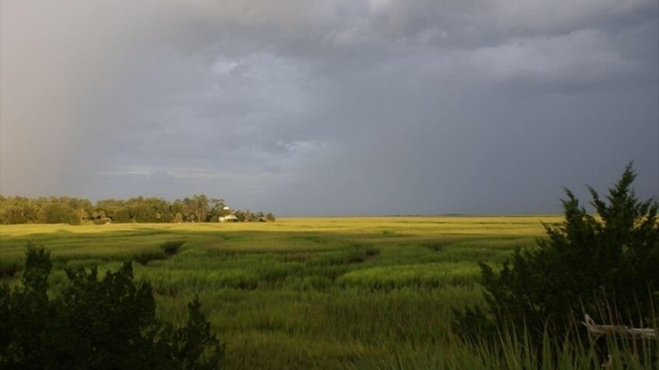 Photo of Others in Meridian