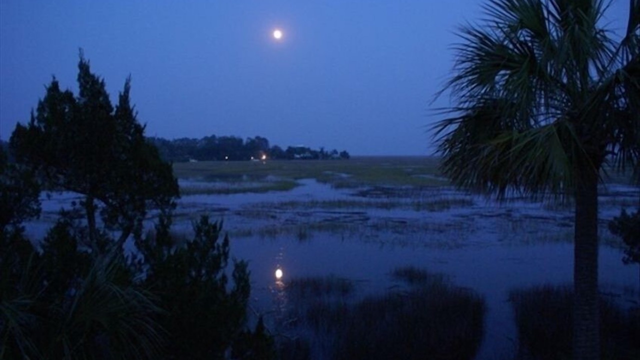 Photo of Others in Meridian