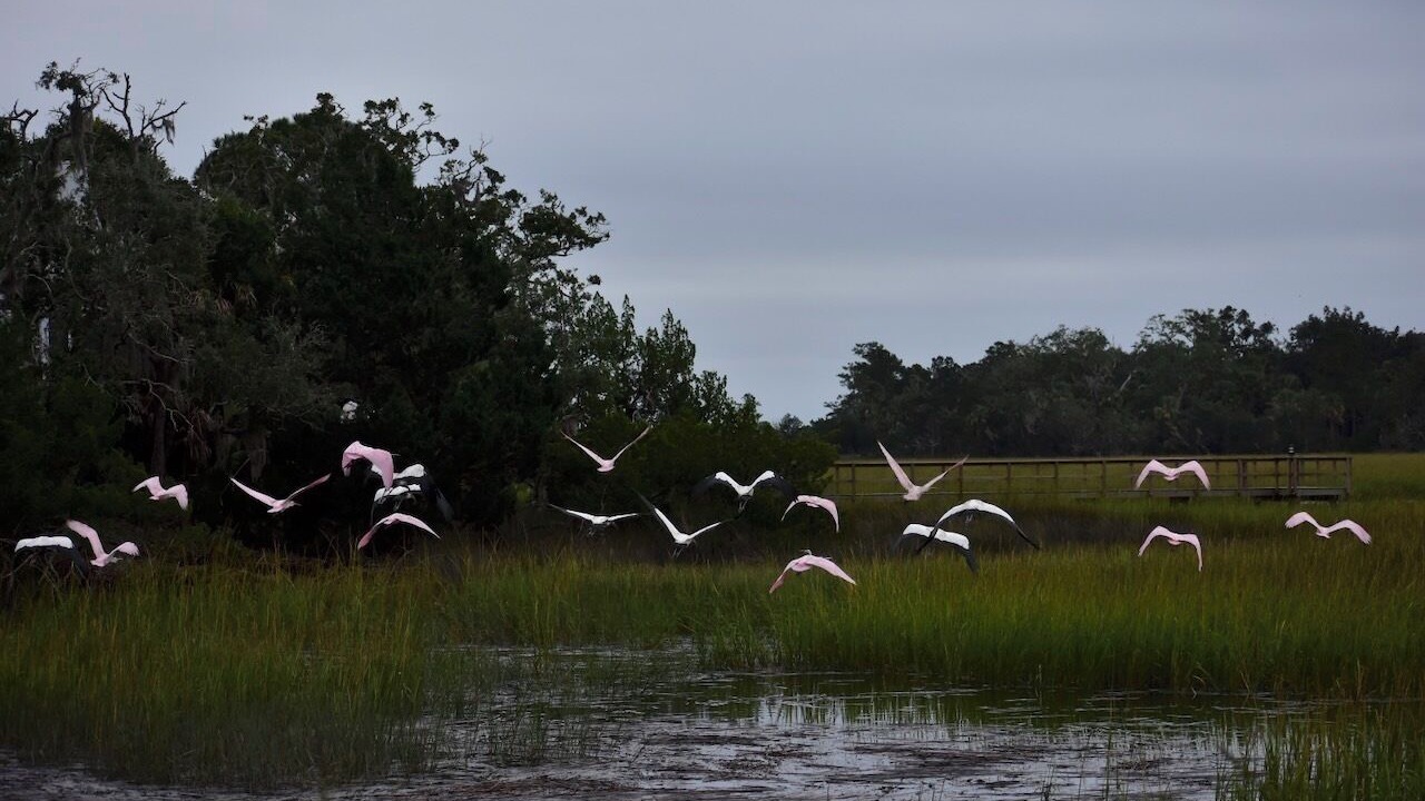 Photo of Others in Meridian