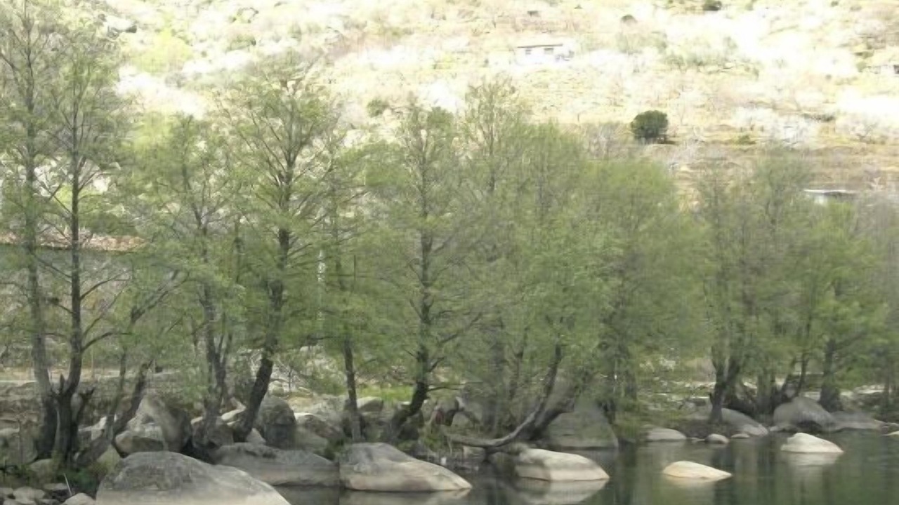 Photo of Others in Navaconcejo