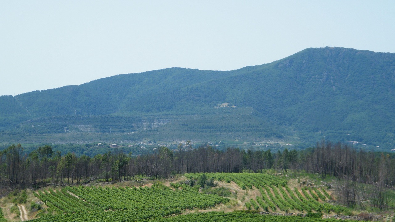 Photo of Others in Chambonas