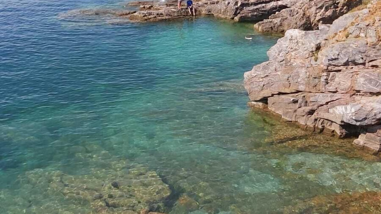 Photo of Others in Brixham