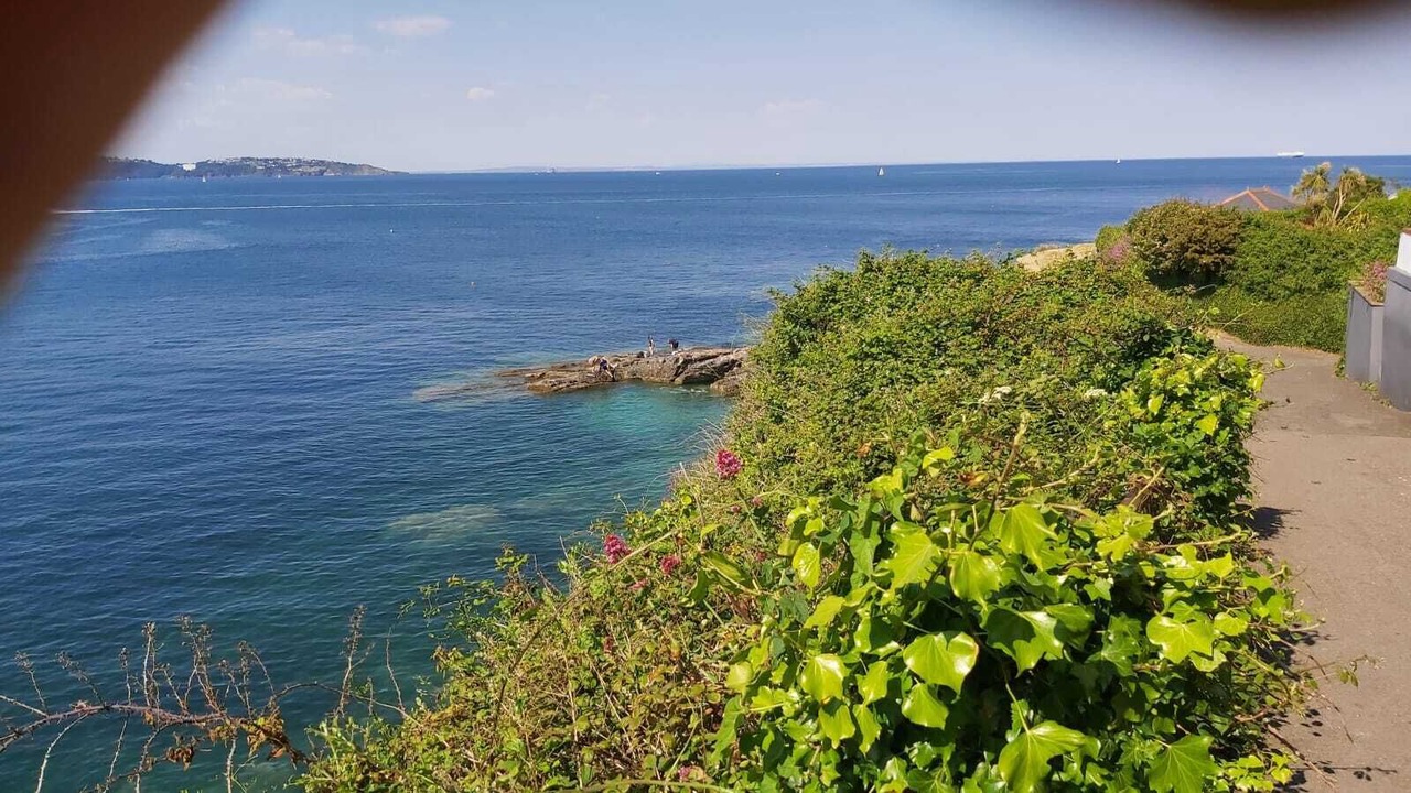 Photo of Others in Brixham