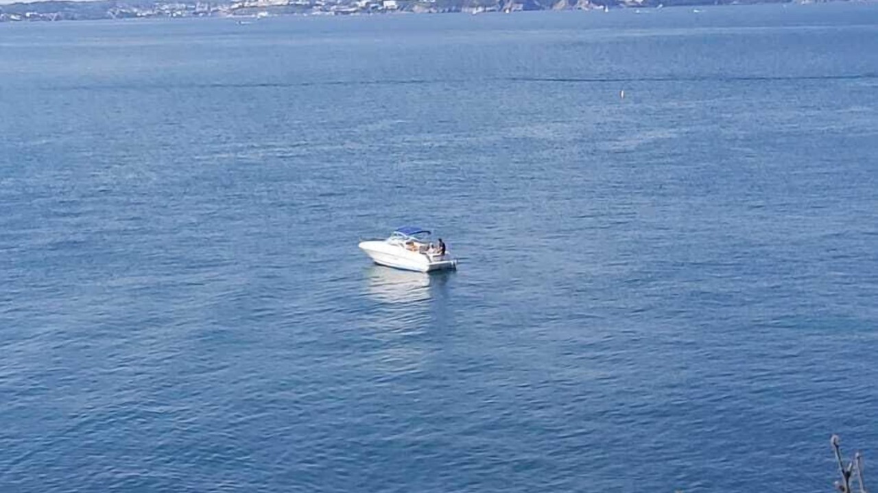 Photo of Others in Brixham