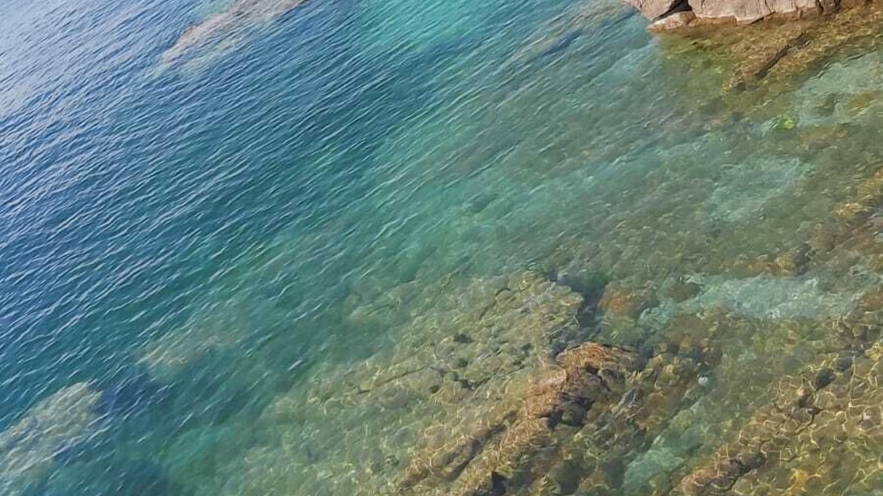 Photo of Others in Brixham