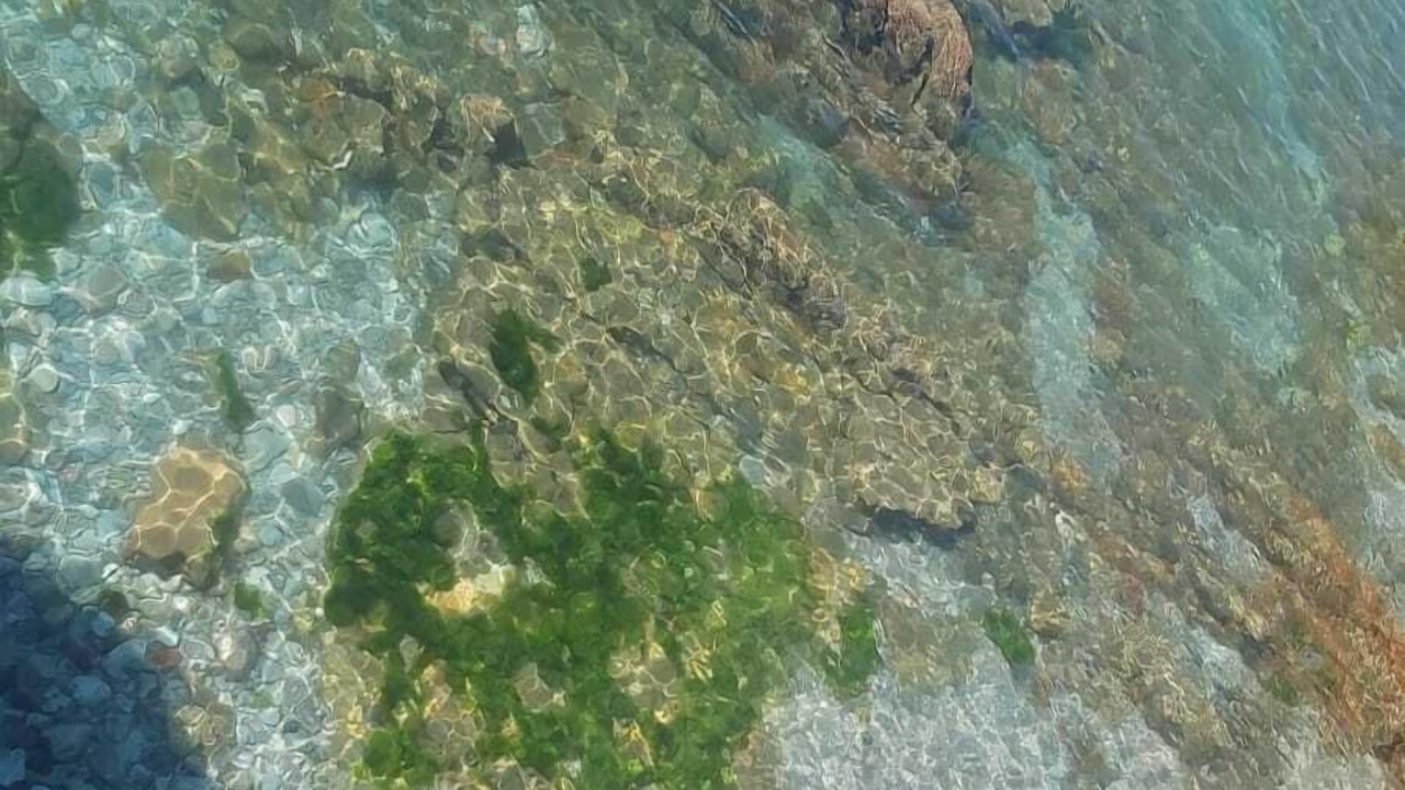 Photo of Others in Brixham