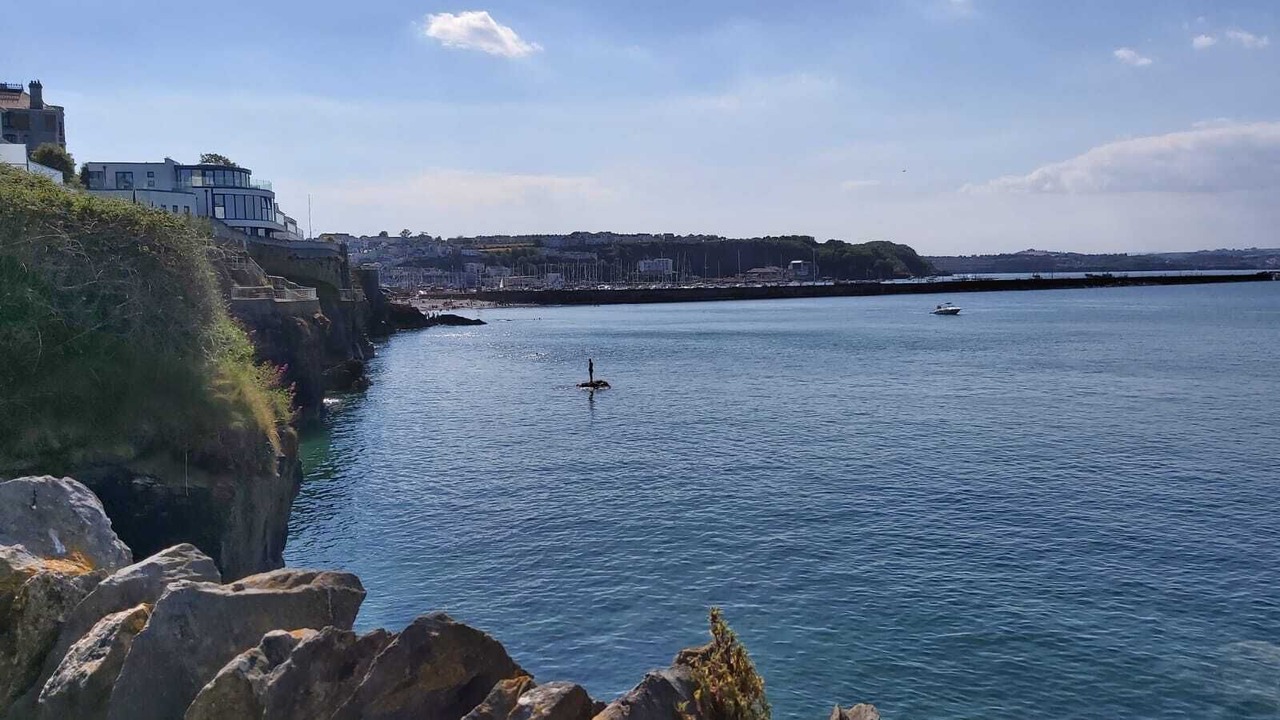 Photo of Others in Brixham