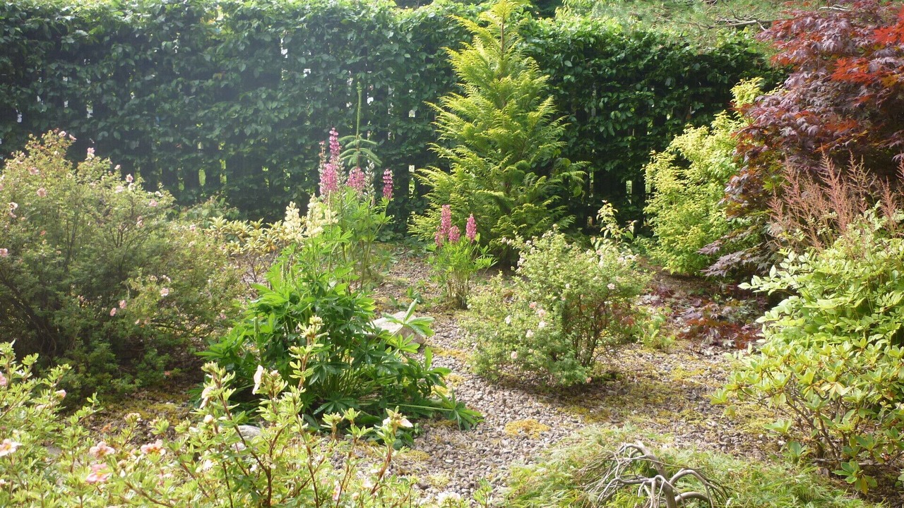 Photo of Outdoor in Ullapool