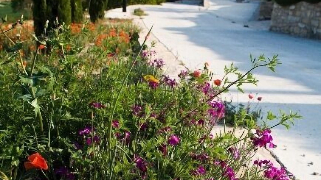 Photo of Outdoor in Guialmons