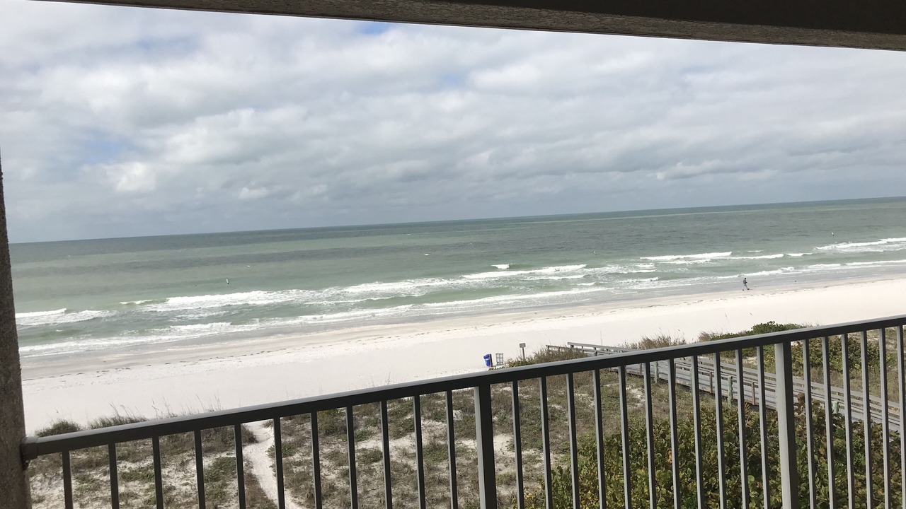 Photo of Others in Indian Rocks Beach
