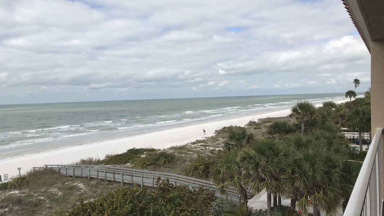 Photo of Others in Indian Rocks Beach