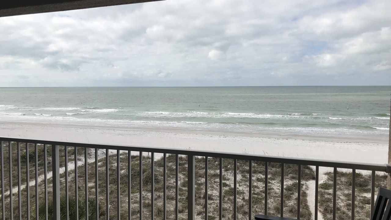 Photo of Outdoor in Indian Rocks Beach