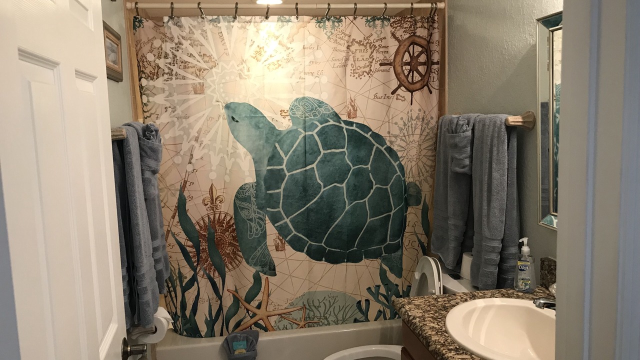 Photo of Bathroom in Indian Rocks Beach