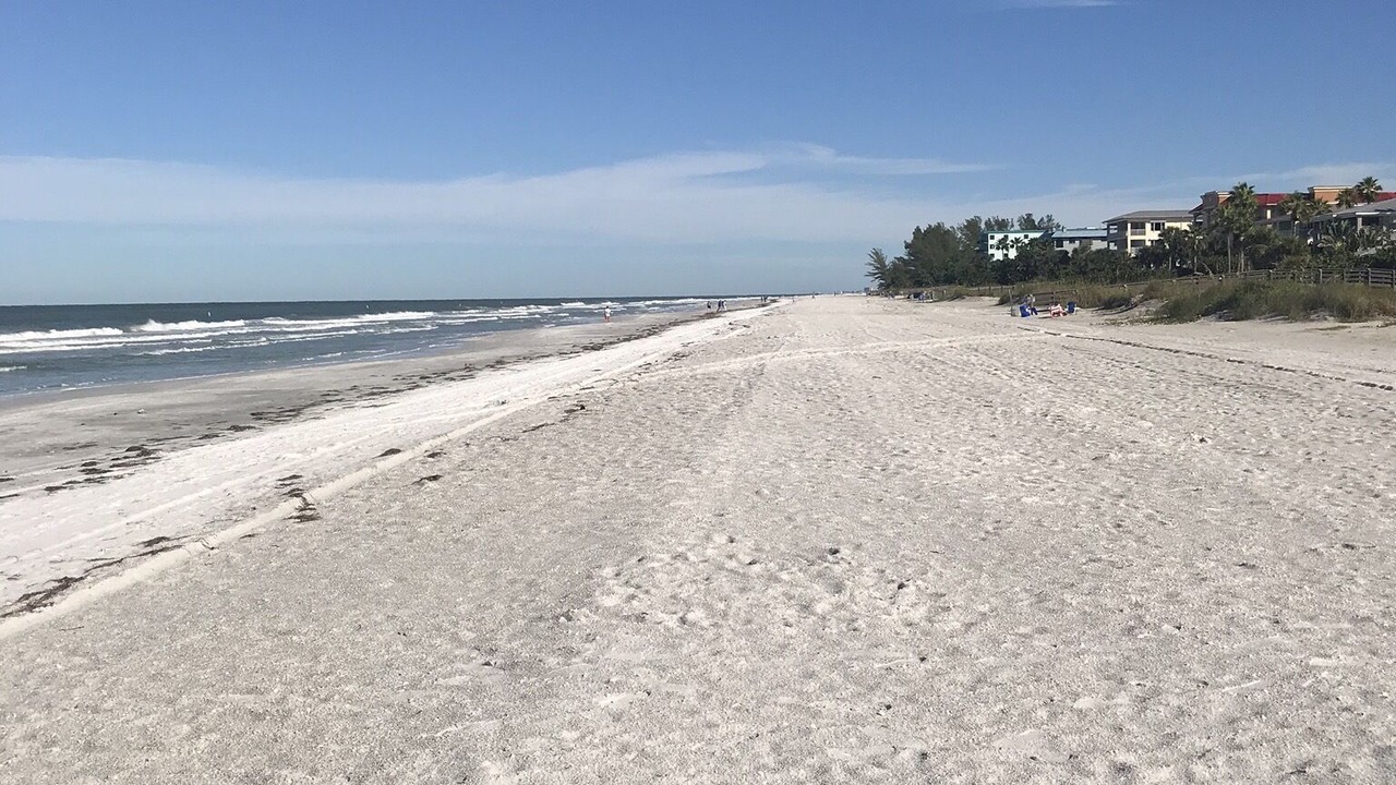 Photo of Others in Indian Rocks Beach