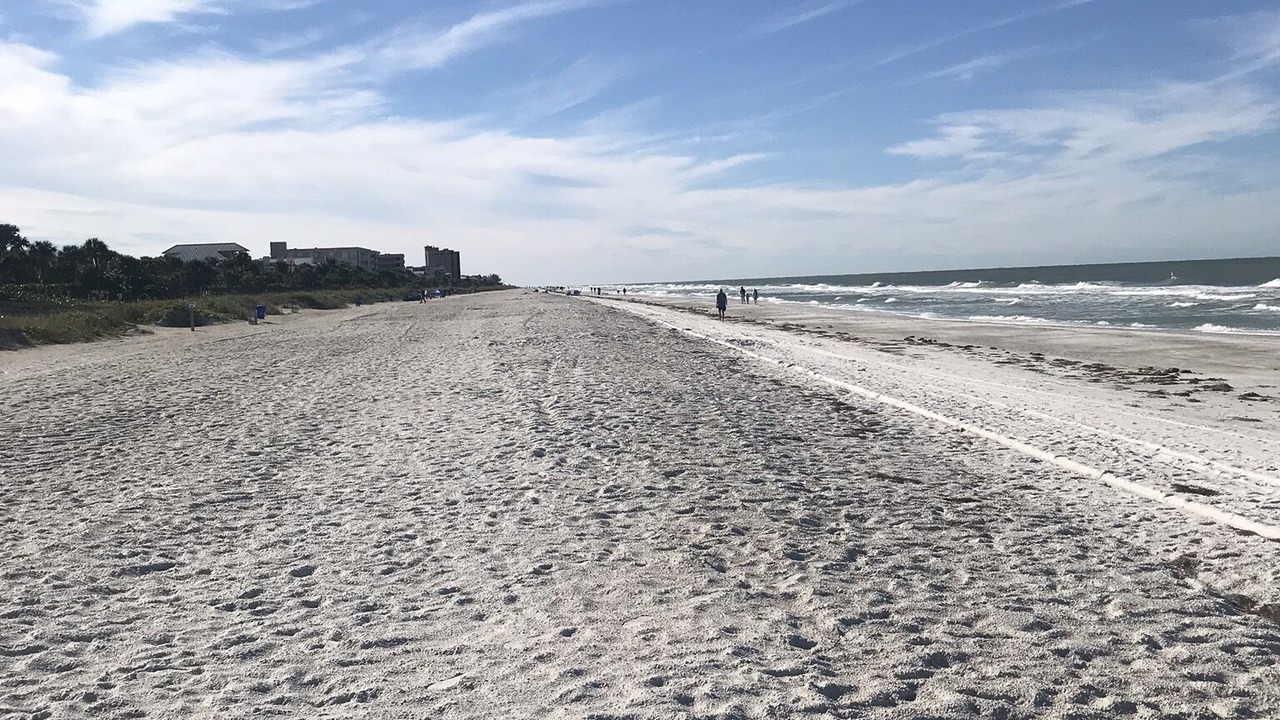 Photo of Others in Indian Rocks Beach
