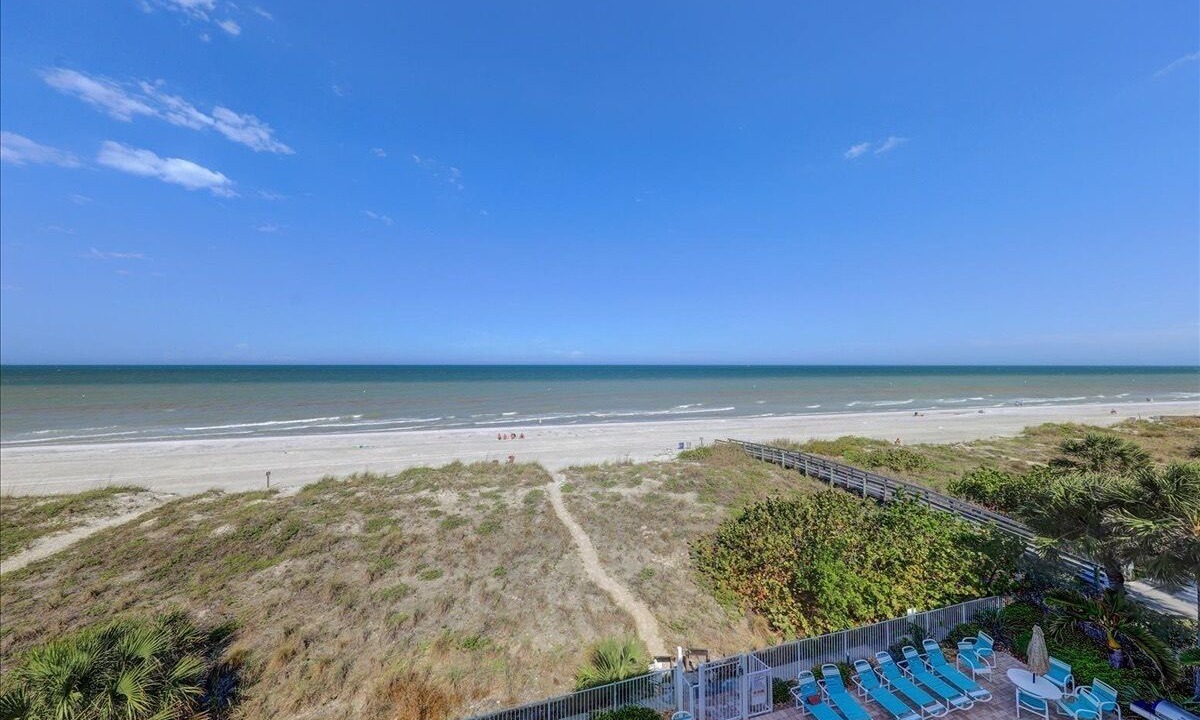 Photo of Others in Indian Rocks Beach