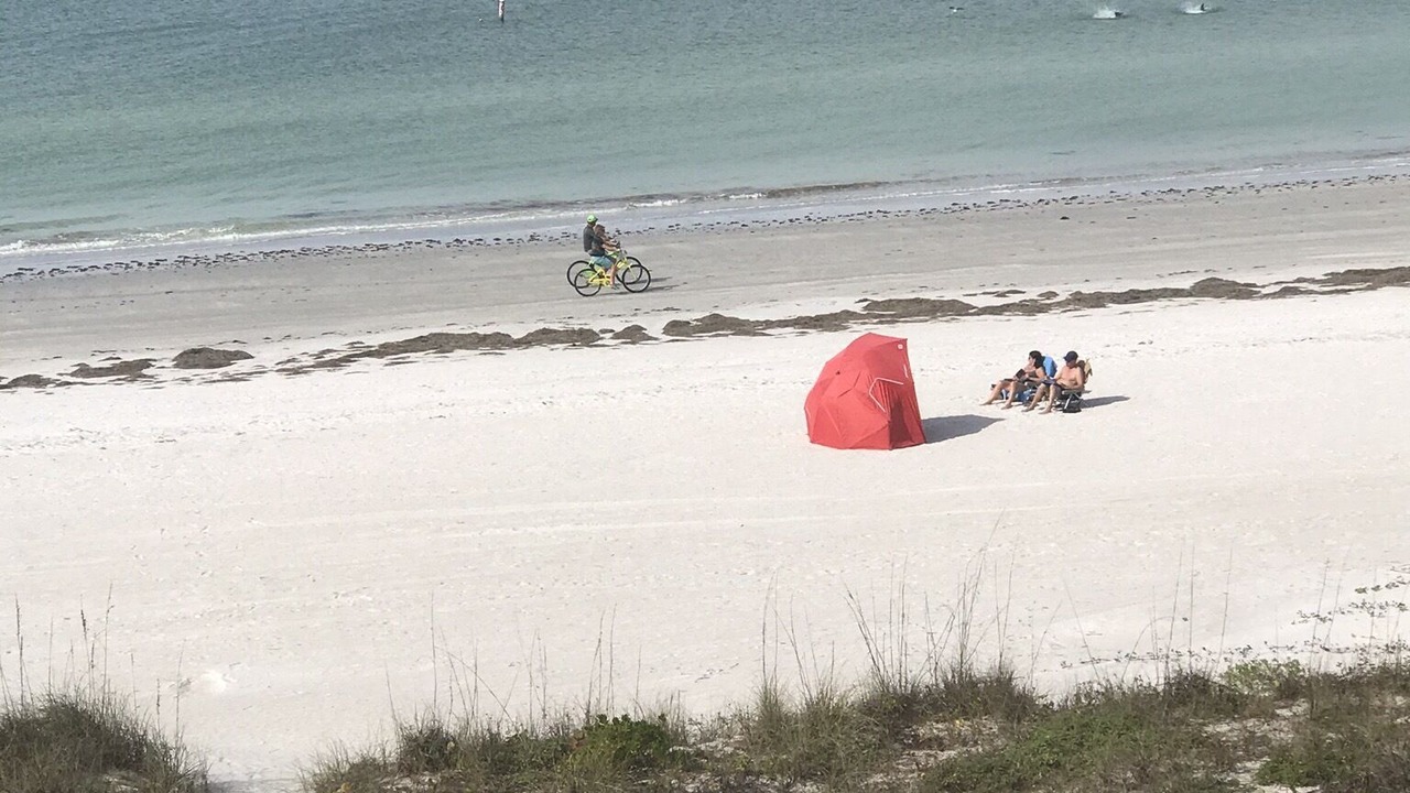 Photo of Others in Indian Rocks Beach