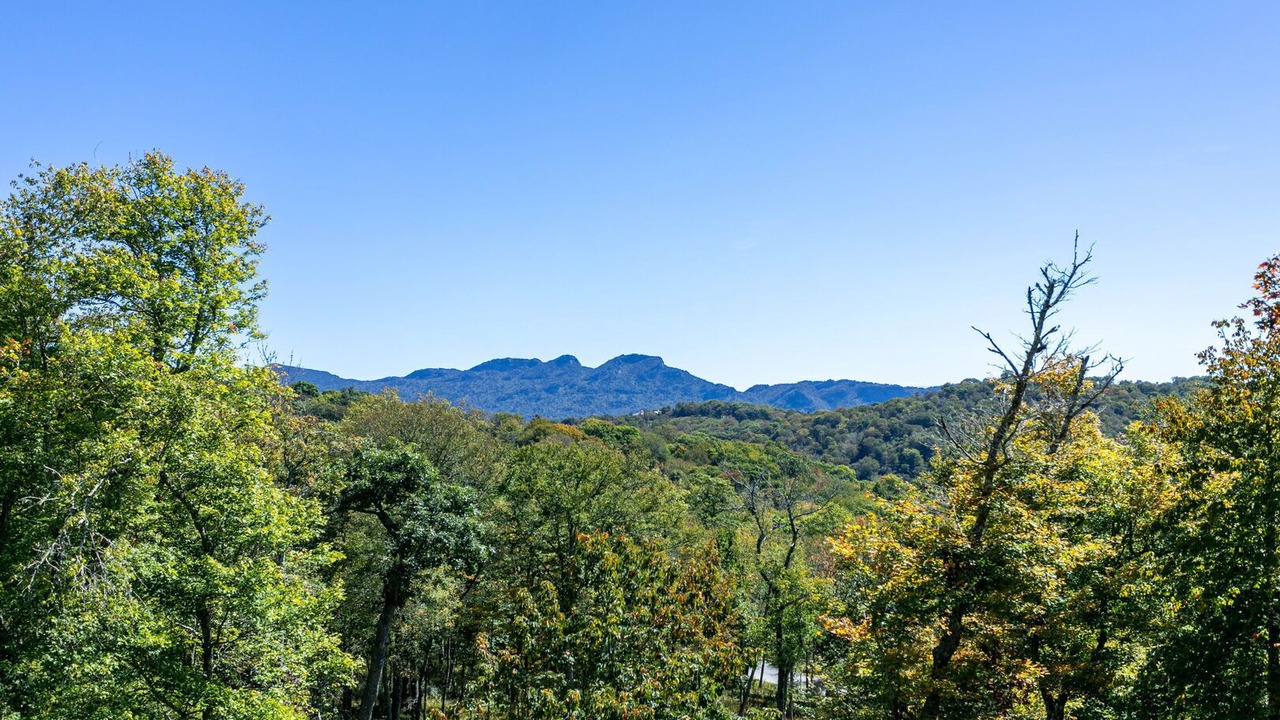 Photo of Others in Sugar Mountain