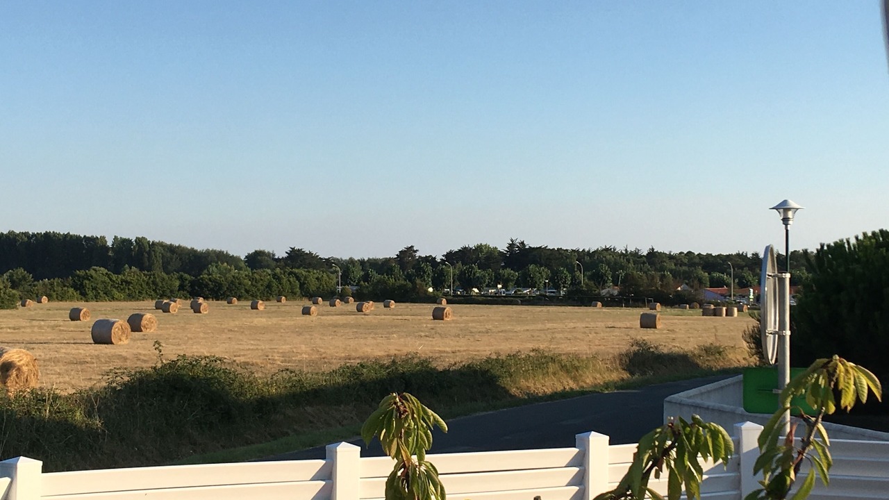 Photo of Others in Saint-Gilles-Croix-de-Vie