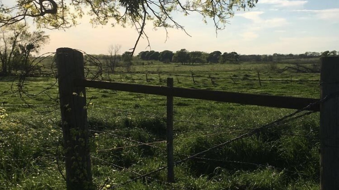 Photo of Outdoor in Riesel