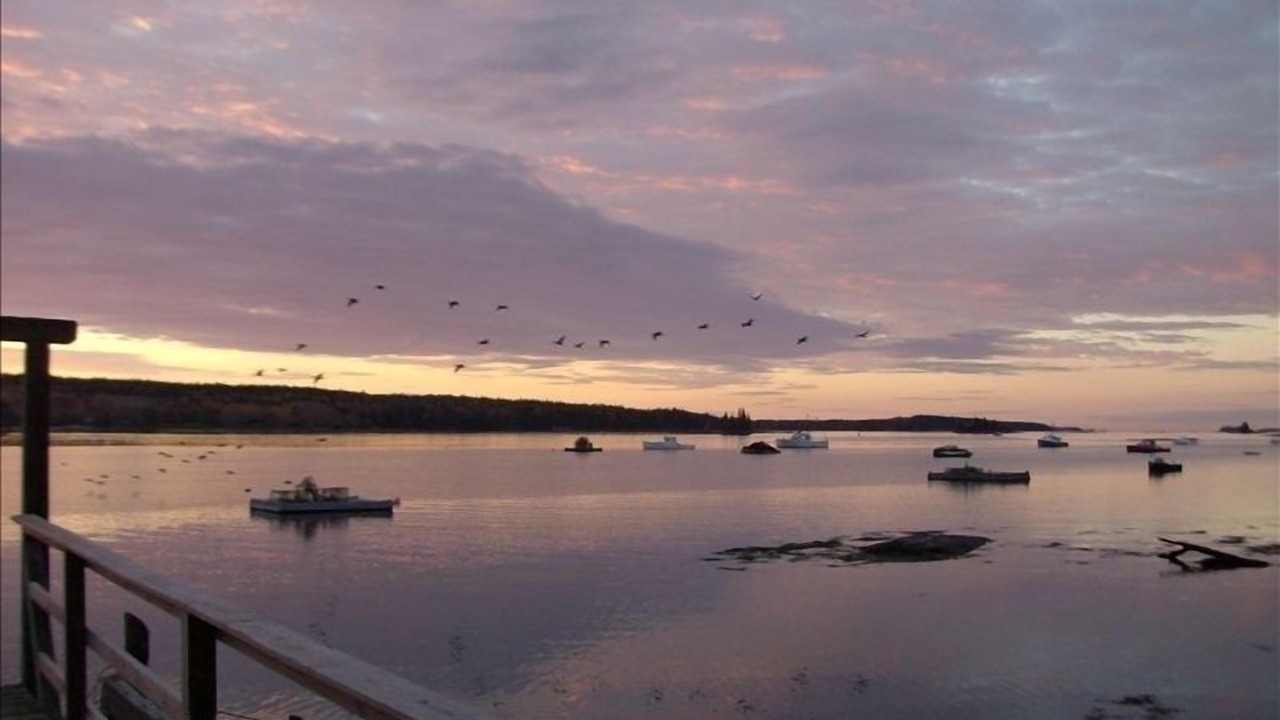 Photo of Others in Bremen