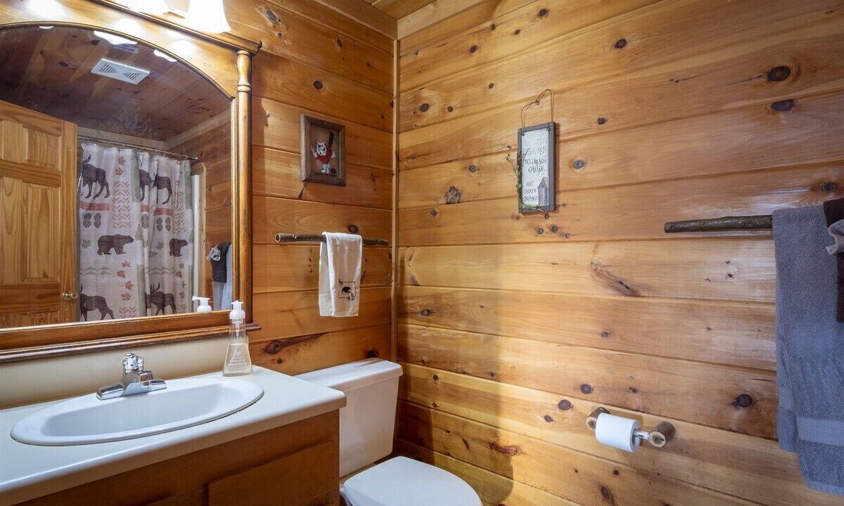 Photo of Bathroom in Sautee Nacoochee