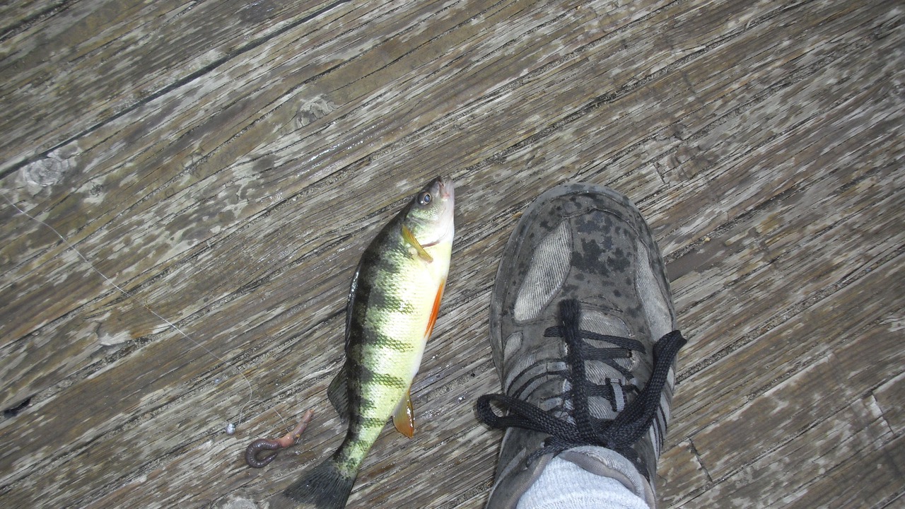 Photo of Others in Johnsburg