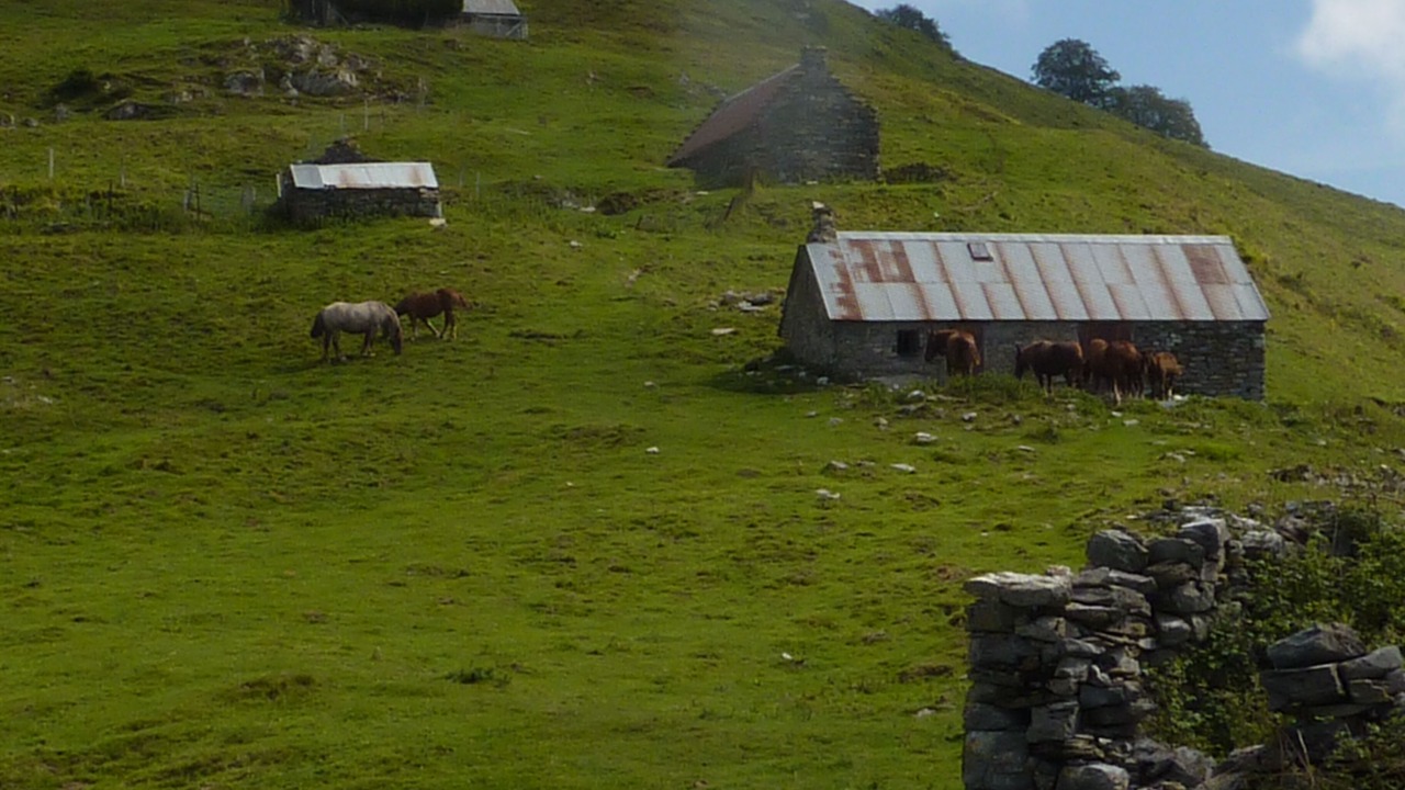 Photo of Others in Campan