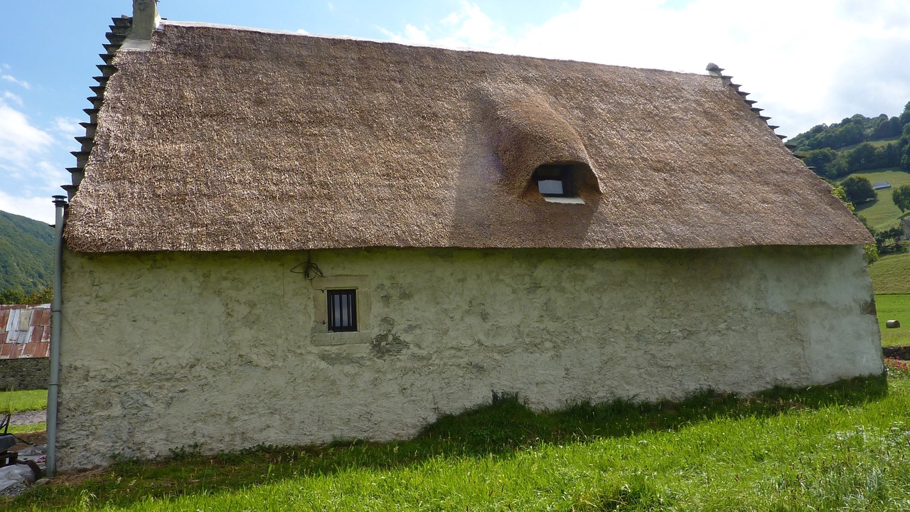 Photo of Outdoor in Campan