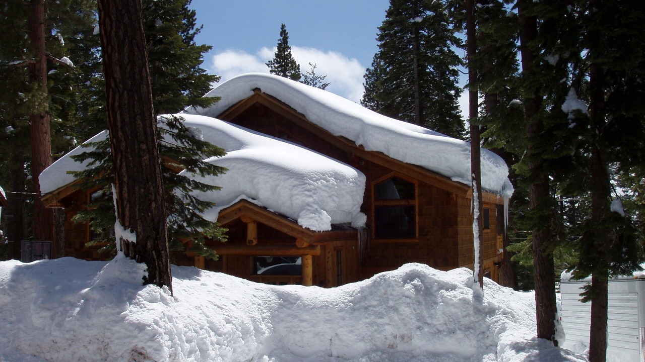 Photo of Others in Tahoe Vista