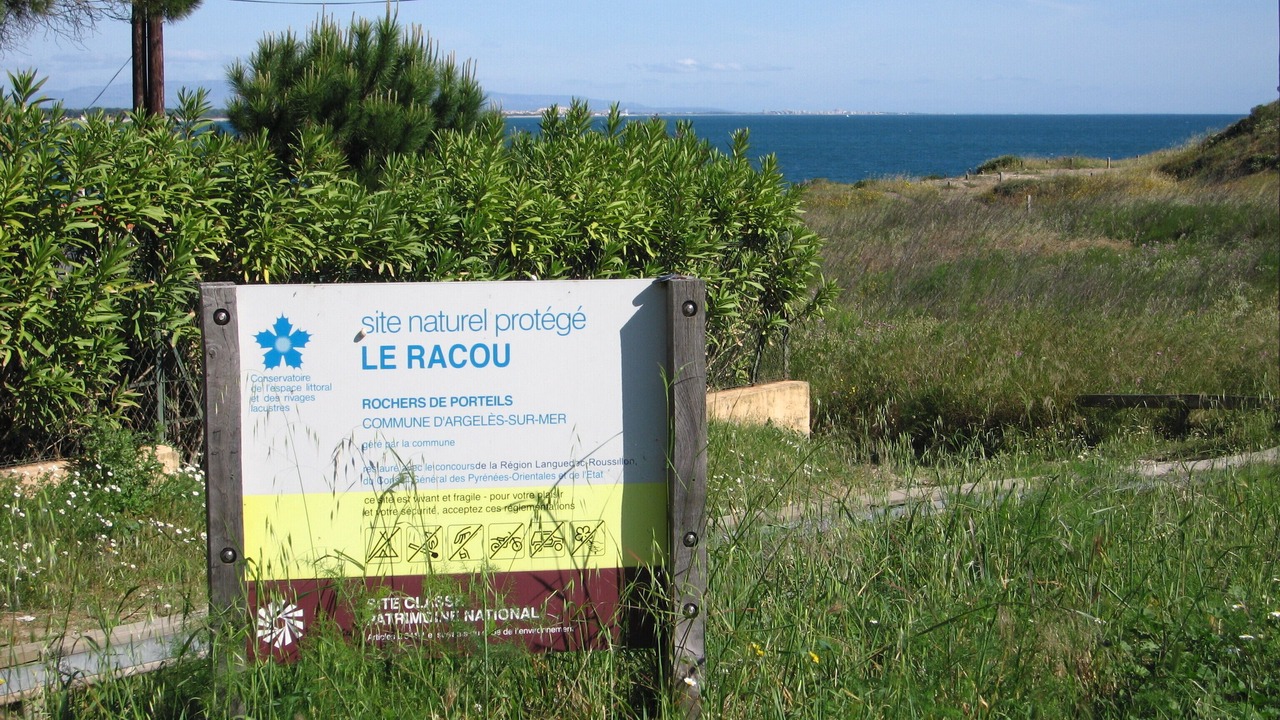 Photo of Outdoor in Plage d'Argeles
