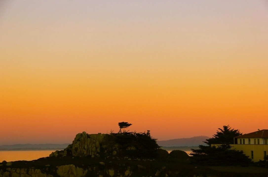 Photo of Others in Pacific Grove