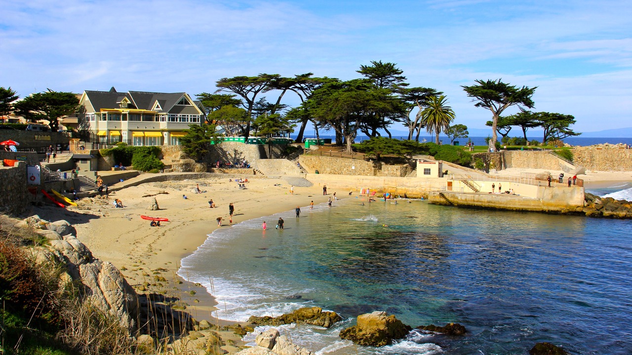 Photo of Others in Pacific Grove