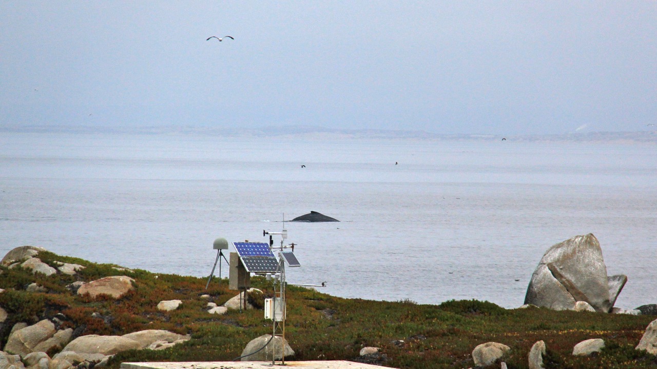 Photo of Others in Pacific Grove