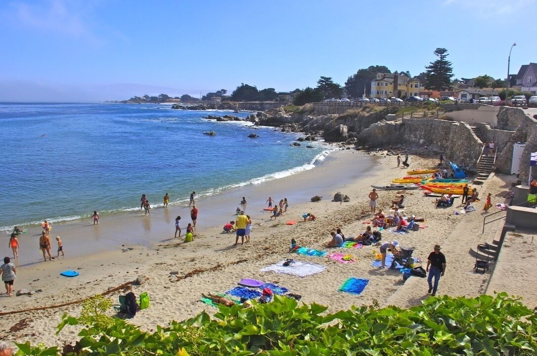 Photo of Others in Pacific Grove